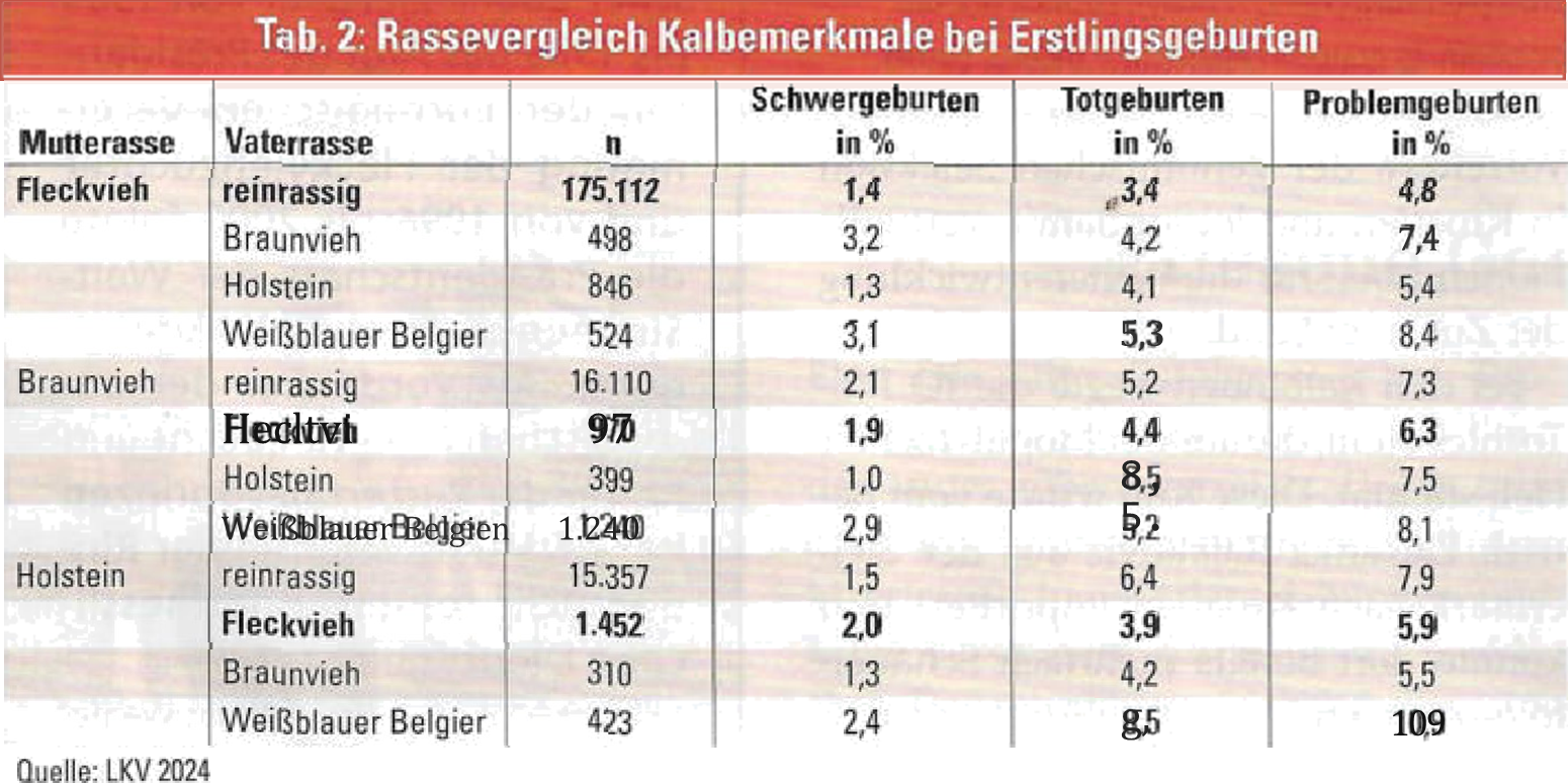 Priebeh pôrodov vybraných plemien u jalovíc