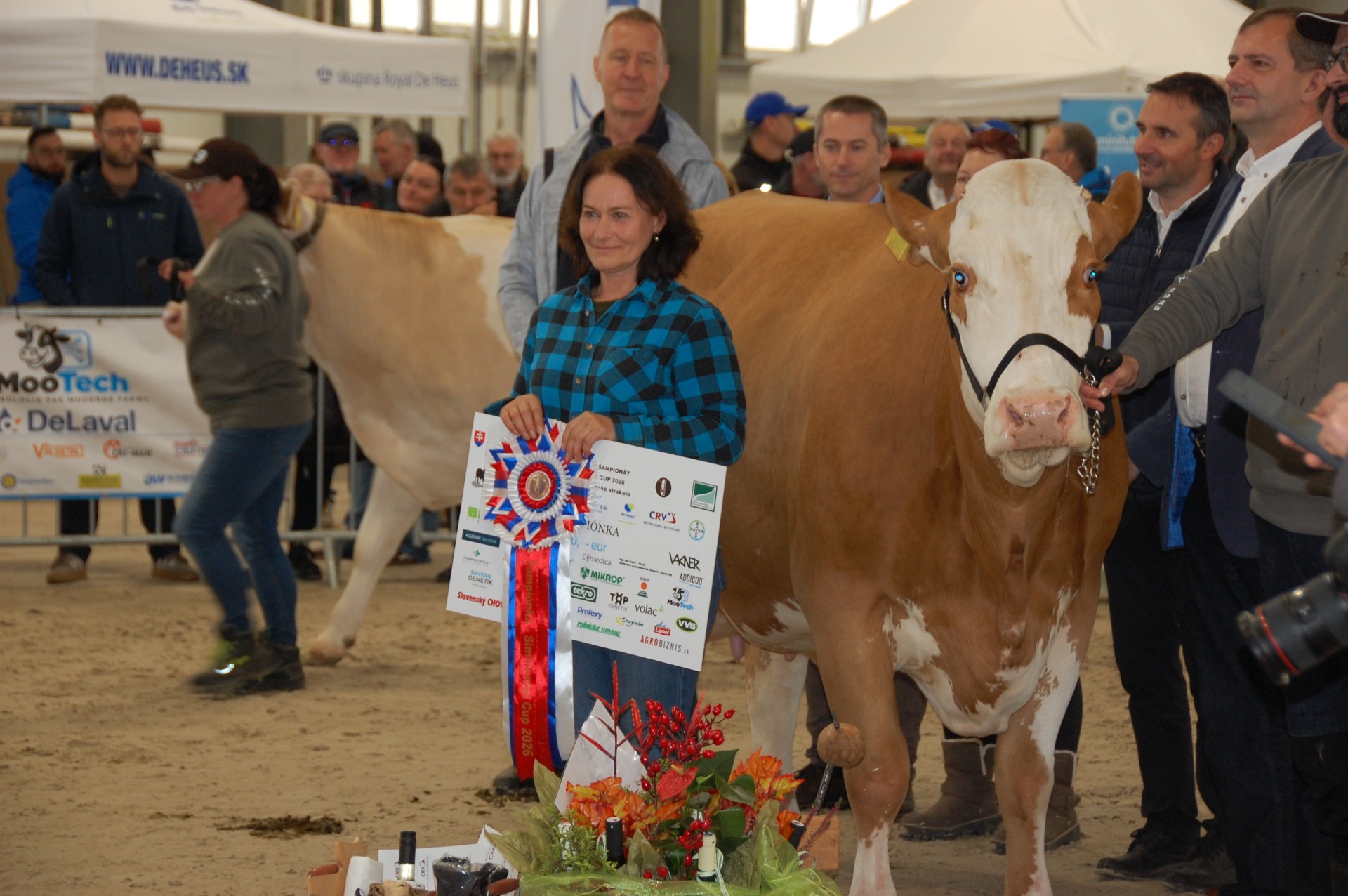 ŠAmpiónka SImmental Cup 2026, Dália z RD Čereňany